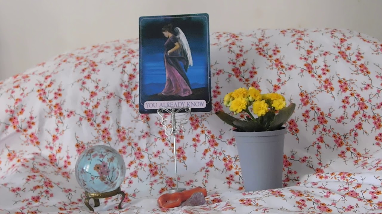 Daily Indigo Angel Oracle Card Reading