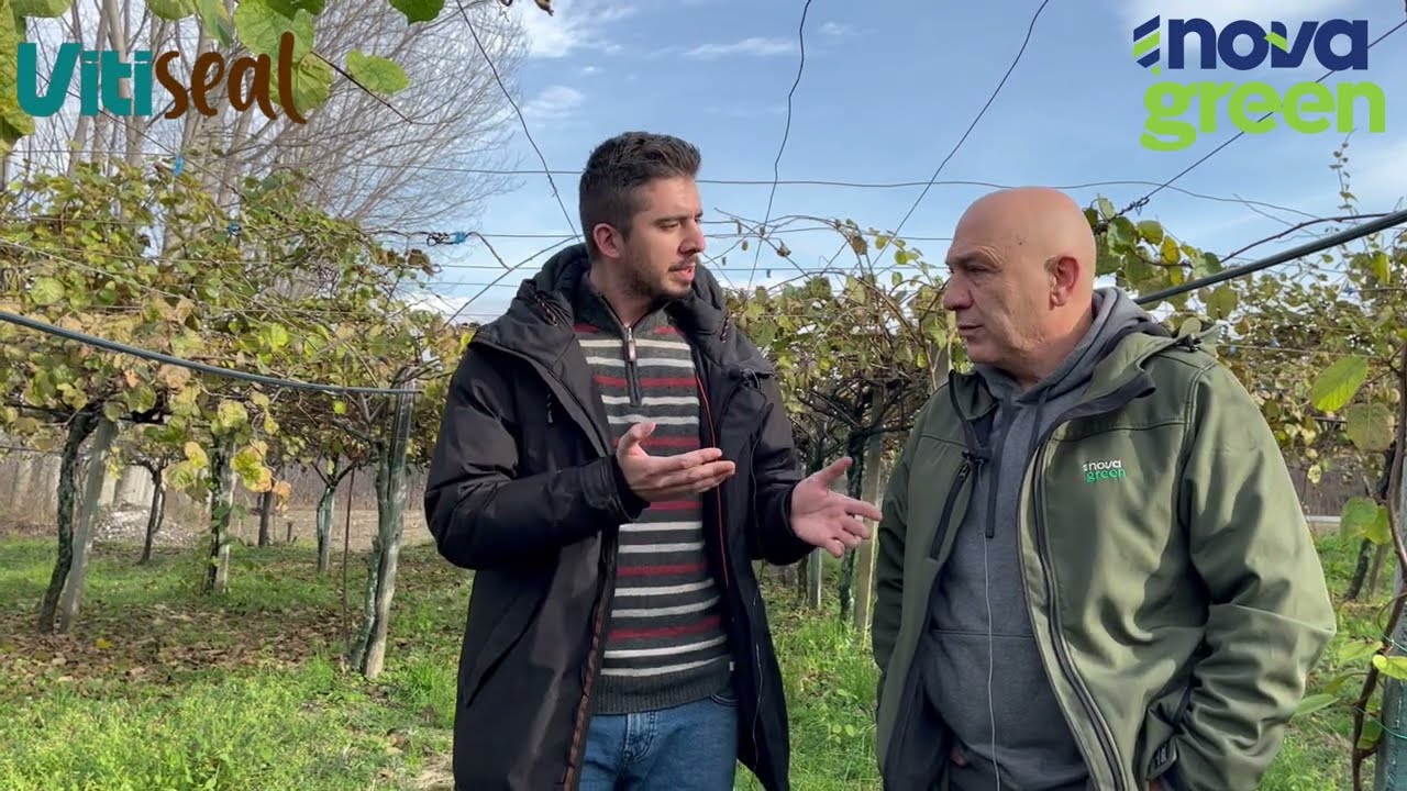 Αποτελέσματα Vitiseal σε οπωρώνα ακτινιδιάς