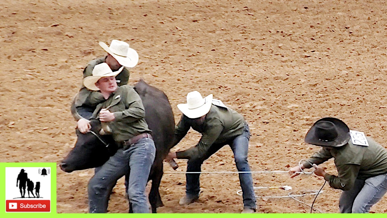 Wild Cow Milking - 2024 West Texas Ranch Rodeo | Friday