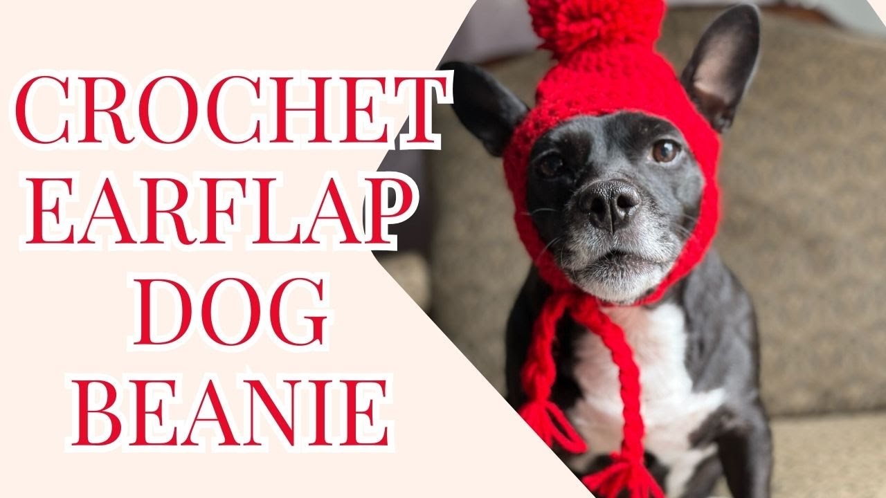 Crochet a Ear Flap Dog Beanie for ALL Sizes| Make one in 30 minutes or LESS!