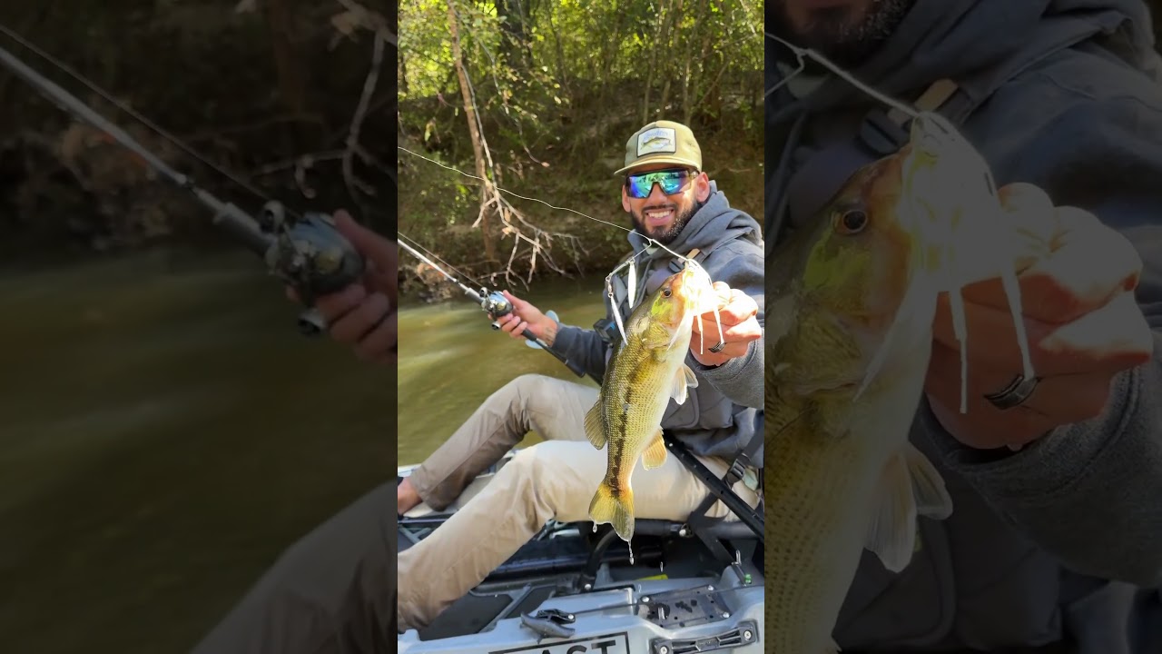 It’s time to throw a spinner bait ! 