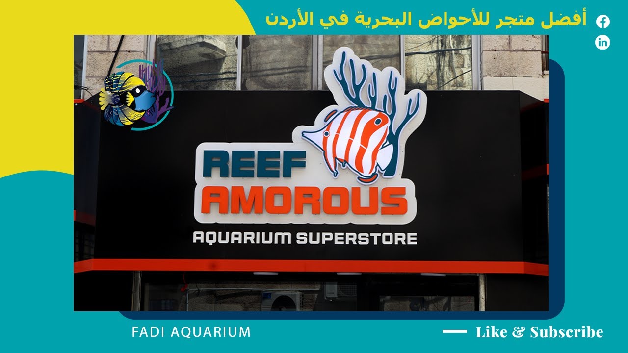 ريف اموروس - أفضل متجر للأحواض البحرية في الأردن
