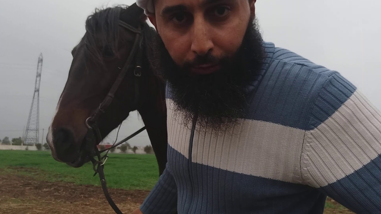 الثبات على ضهر الخيل