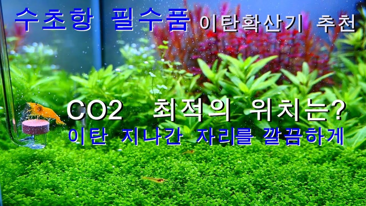 수초가 숨쉬기 좋은 이탄 확산기 추천-이거만 있으면 어항 주변 완전 깔끔하게 변신-CO2 디퓨저