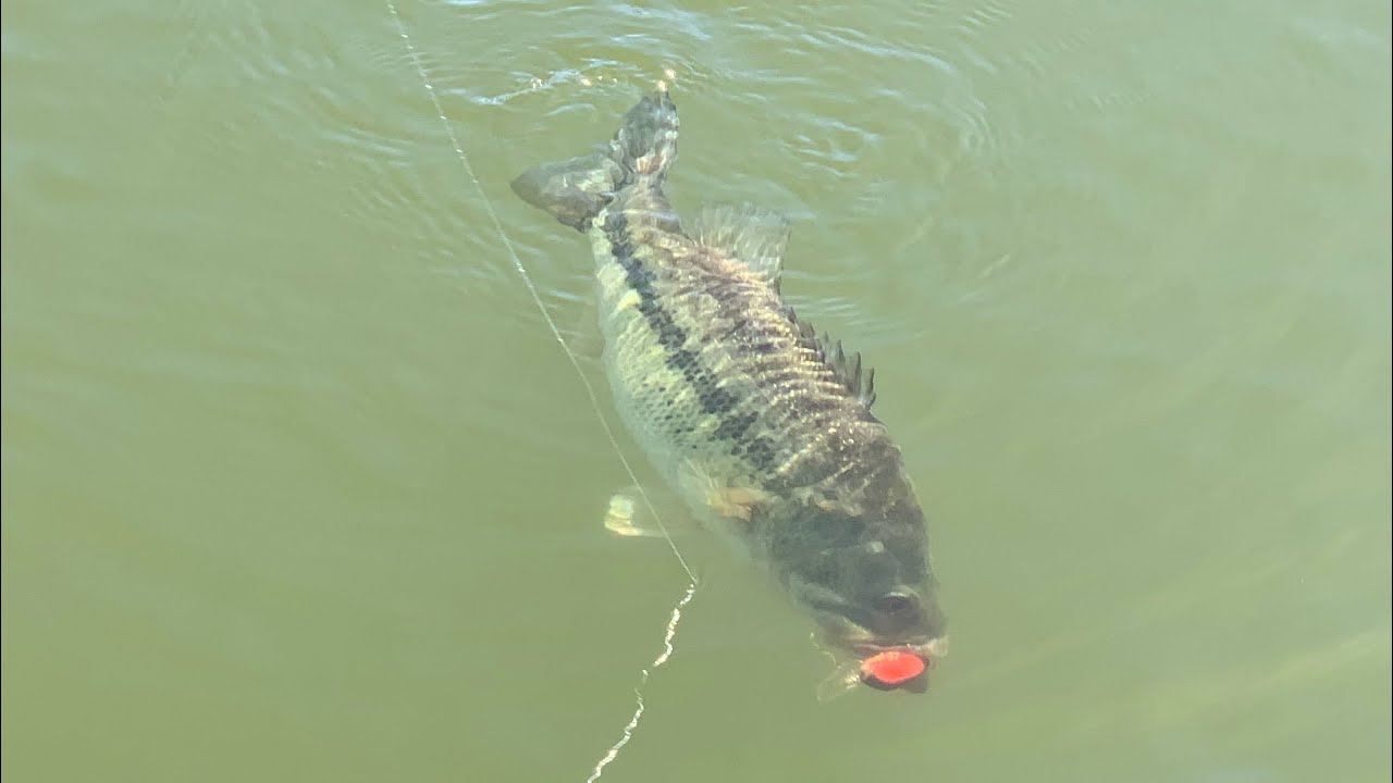 23 FEB  2021Lake Fork Fishing Report