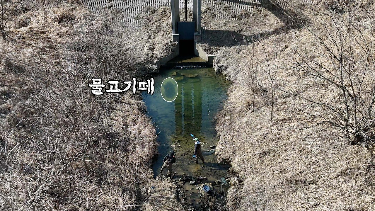 한겨울에도 얼지 않는 신비한 농수로에 물고기떼 한마리 빛나는 무언가 있다!?