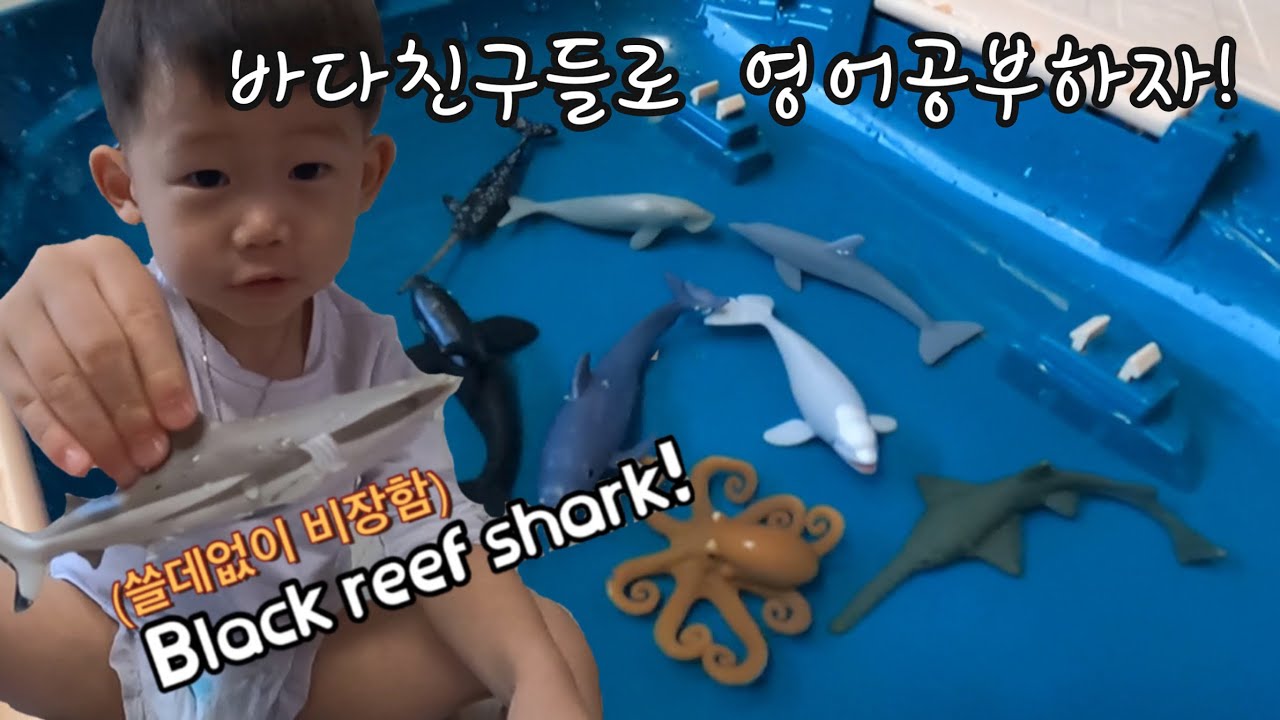 4살 아이 바다친구들로 영어공부해요!(I’m Studying English!)