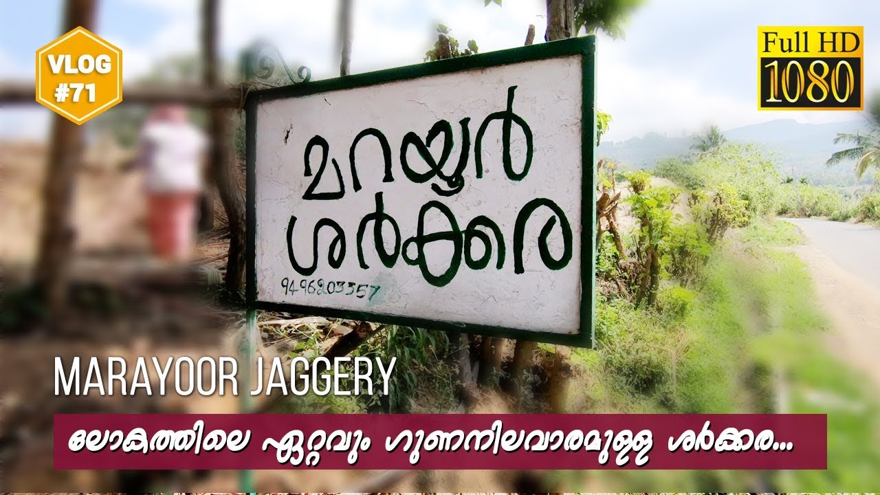 മറയൂർ ശർക്കര ഉണ്ടാക്കുന്ന കാഴ്ചകൾ - Traditional jaggery making process from Marayoor  | VLOG #71