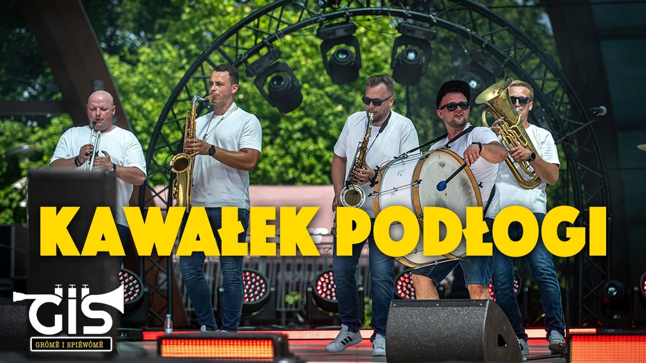 M&oacute;j jest ten kawałek podłogi ( Mr.Zoob cover) - Zesp&oacute;ł GIS