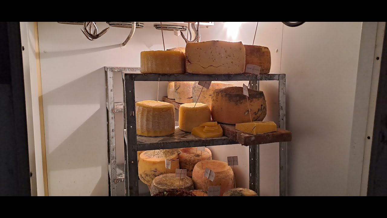 Fattoria Manostalla