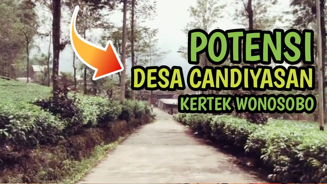 Potensi Desa Candiyasan Kertek Wonosobo Jawa Tengah