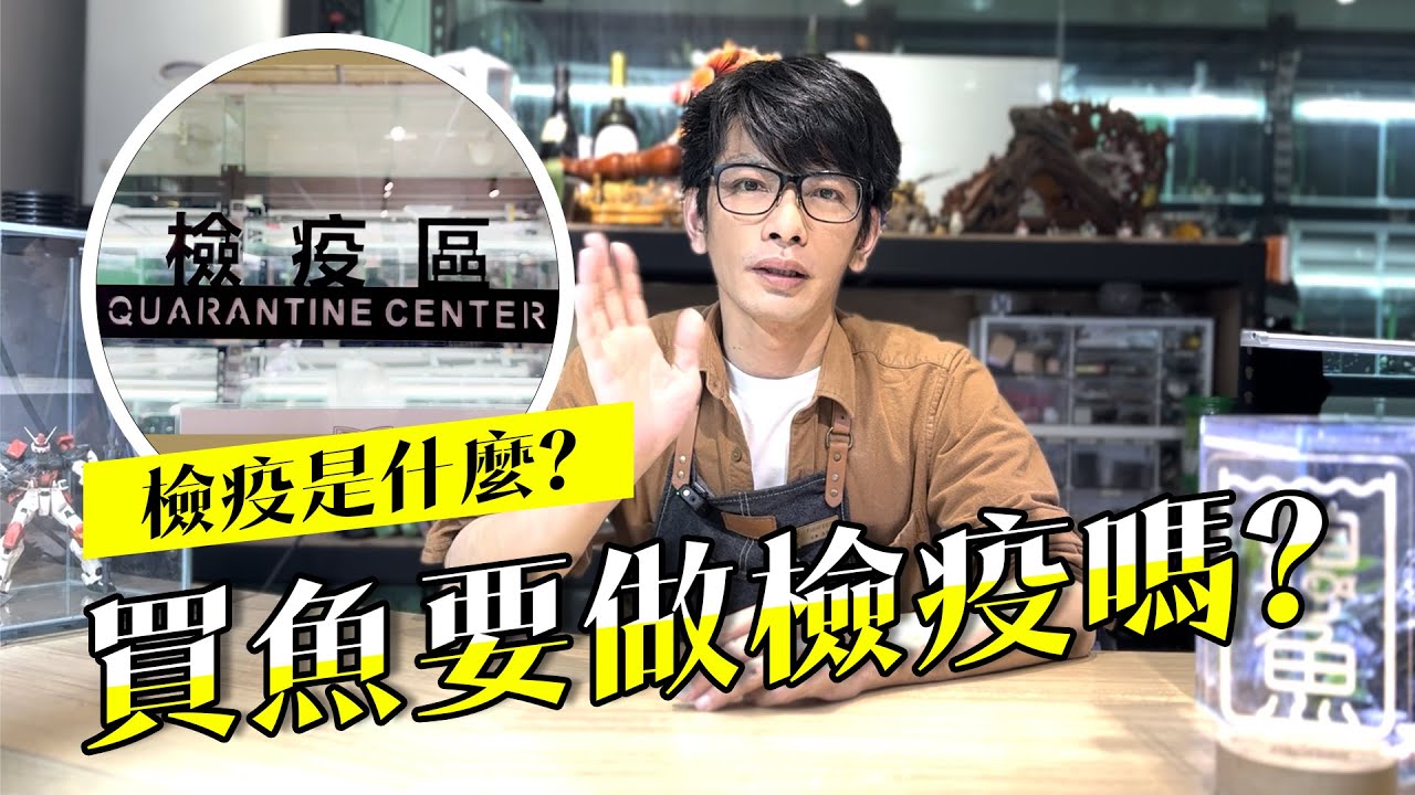 買新魚要做檢疫嗎?檢疫該如何操作呢?【養魚小技巧】