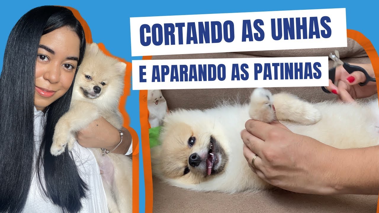 CORTANDO AS UNHAS E APARANDO AS PATINHAS DO MEU SPITZ ALEMÃO / LULU DA POMERÂNIA