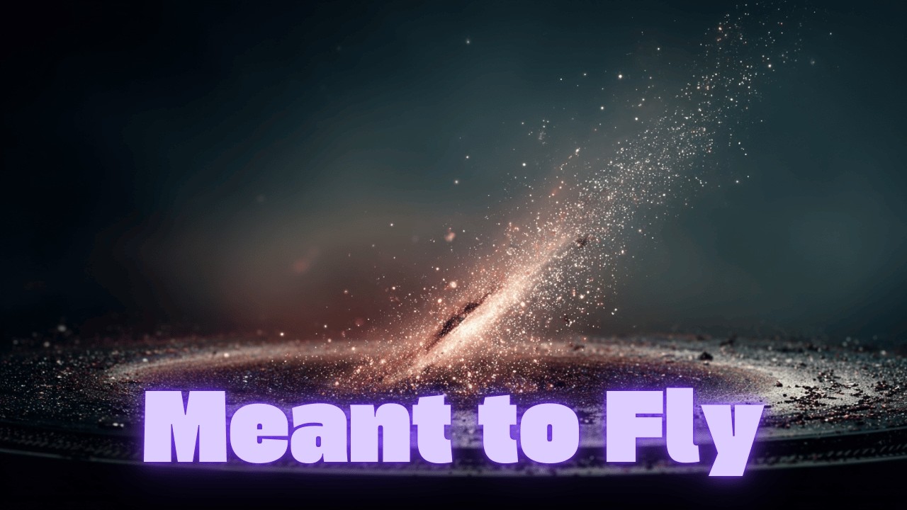 Meant to Fly - SOUTH TICKET