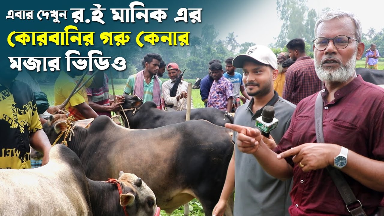 1189- র.ই মানিক এর কোরবানীর গরু কেনার মজার ভিডিও, Qurbani Cattle Price 2025.Chitrapuri Krishichitra