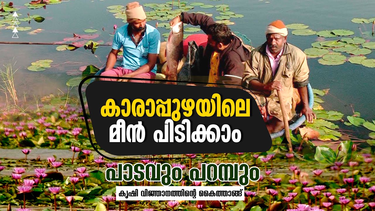കാരാപ്പുഴയിലെ മീന്‍ പിടിക്കാം | KARAPPUZHA DAM FISHING |