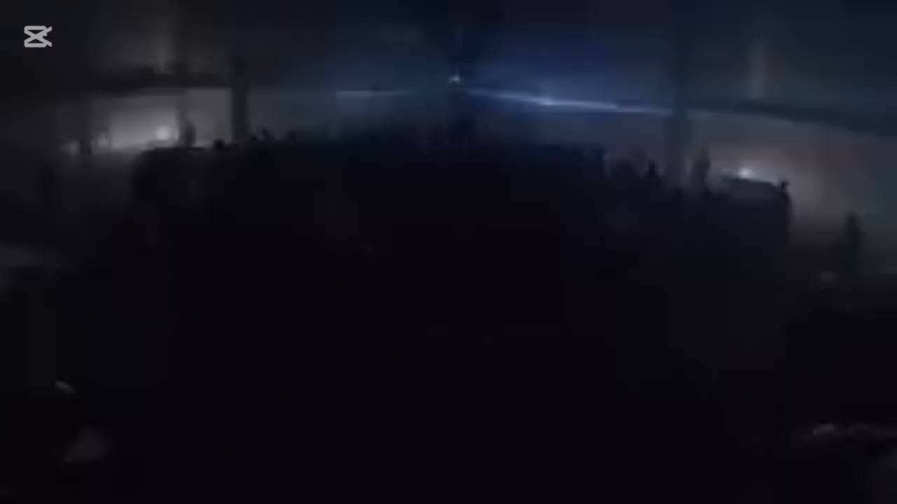 David by Lorde best part looped