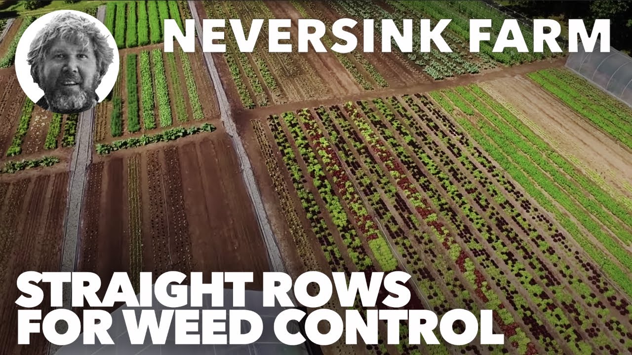 The Importance of Straight Rows for Weed Control