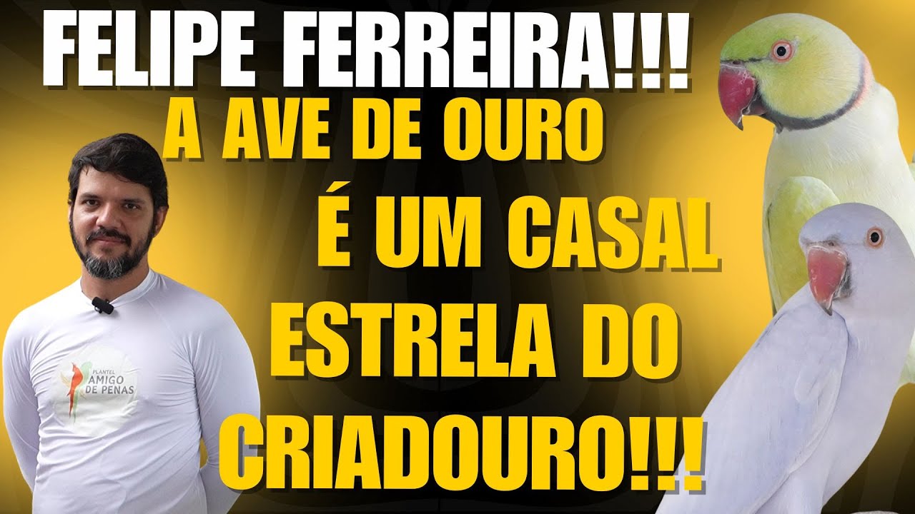 CASAL DE RING NECK PERFEITO NA AVE DE OURO DO FELIPE FERREIRA!!!