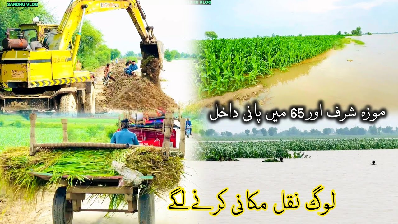 Satluj flat saturation moza, Sharif or check number 65 Mein Pani dakhal.