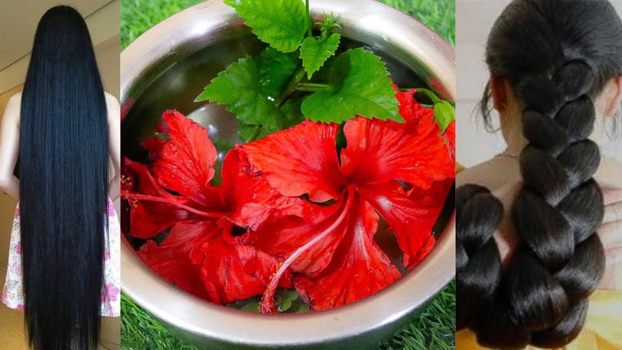 7 दिन:बालों(Hair) को 3 से 5 इंच तक लंबा- मोटा,घना और मजबूत बनाने का अचूक उपाय Hair Regrowth Formula