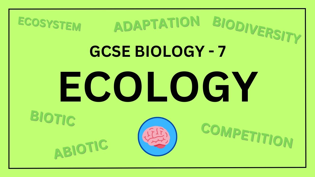 AQA GCSE Biology in 10 Minutes! | Topic 7 - Ecology