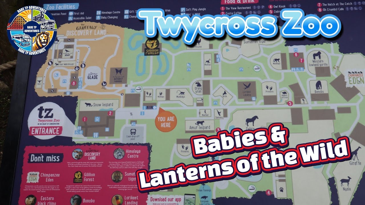 Wild Lights & Wildlife Wonders at Twycross Zoo