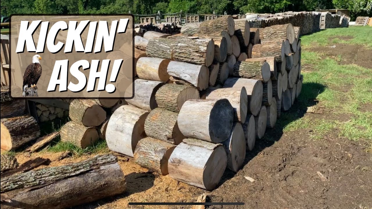 KICKIN' ASH... (FIREWOOD) - #80