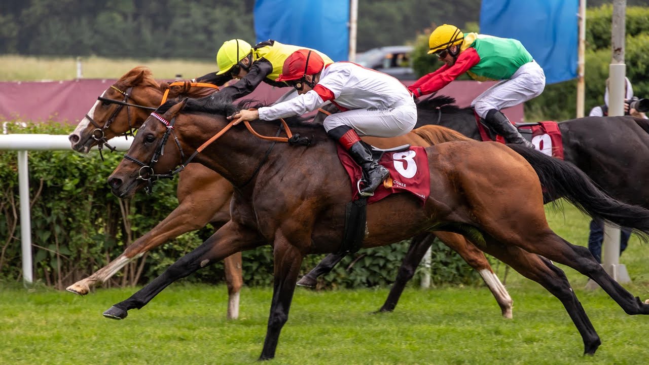 Berlin Hoppegarten: Comer Group International 53. Oleander-Rennen 2024 Sieger: Alessio