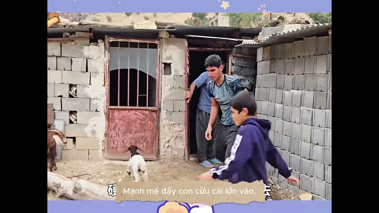 Xây ngôi nhà cho những chú cừu  gặp khó 