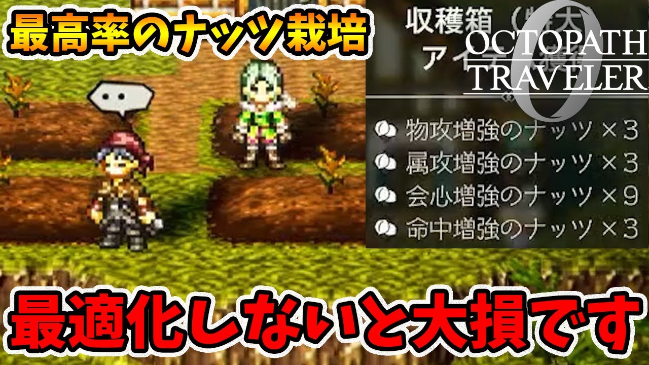 最高率のナッツ栽培方法！最適化しないと損しますよ。【オクトパストラベラー0】【naotin】