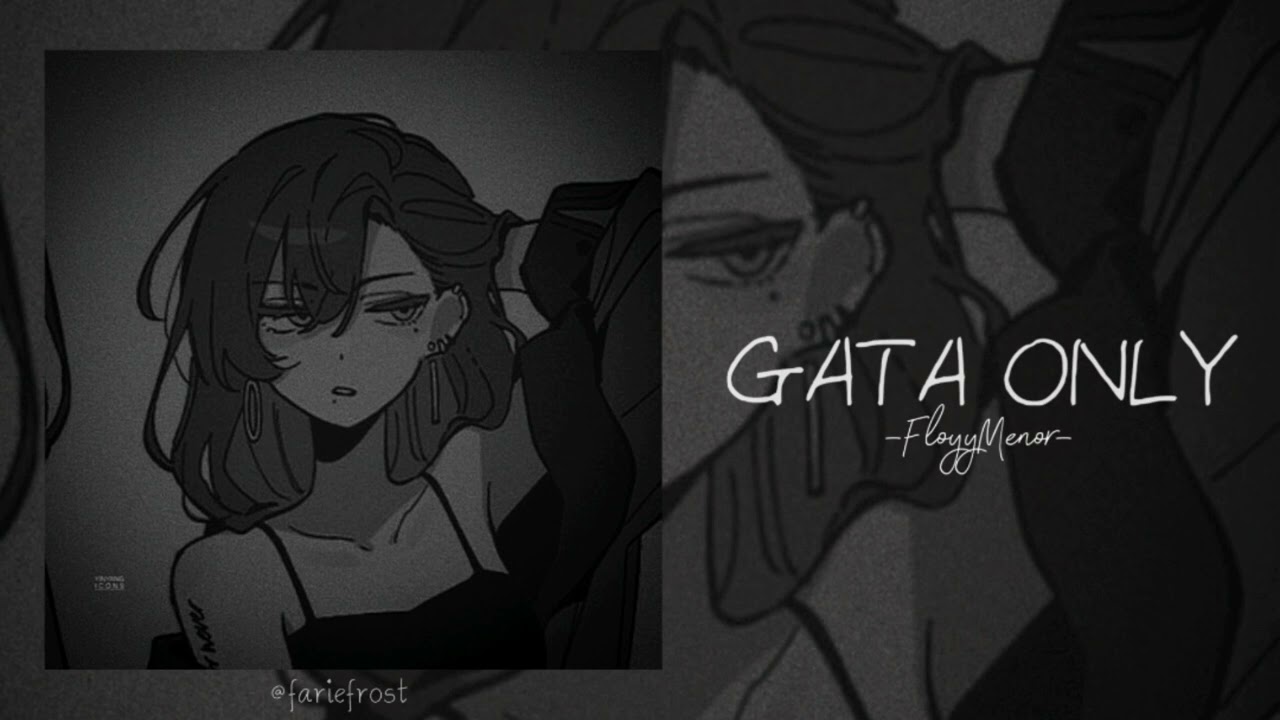 ~Slowed To Perfection✨️GATA ONLY▪︎FloyyMenor