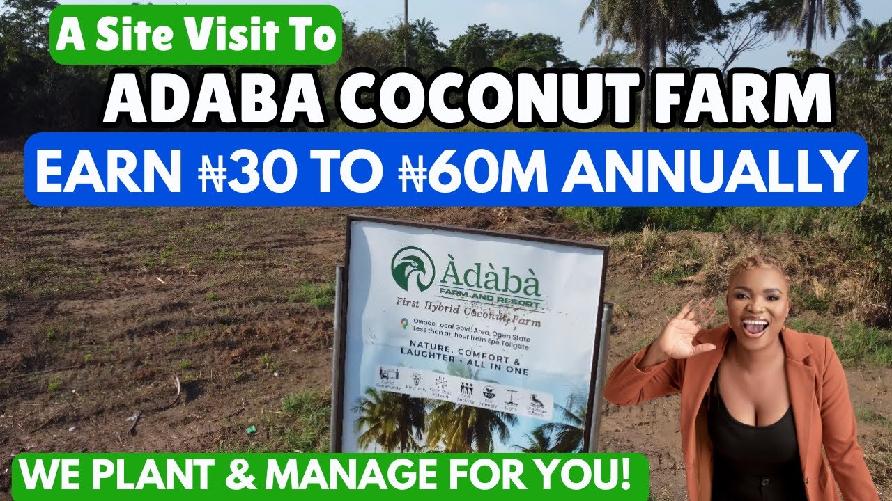 Adaba Coconut Farm & Resort: Zwiedzanie pierwszej hybrydowej farmy kokosowej w stanie Owode Ogun ...