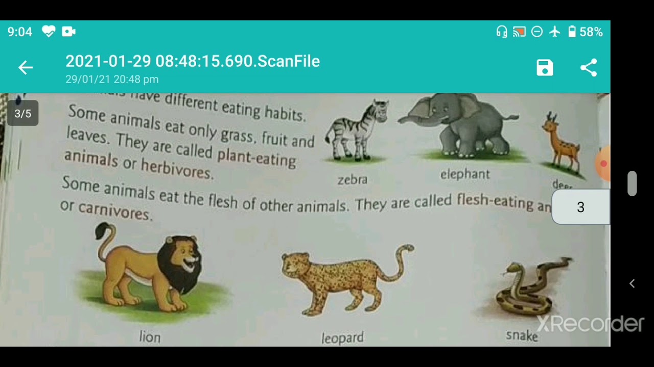 Ch 18, The World of Animals,class 2 Evs part 1