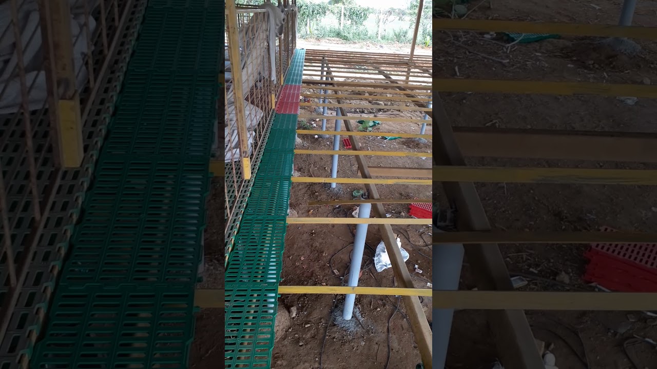 goat farm slatted flooring 📲 9445257164(1)