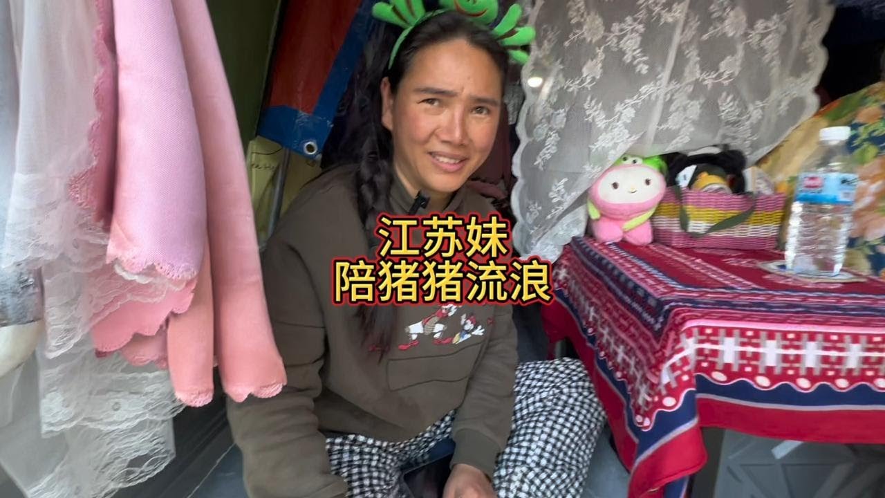单身的她一人一车一头猪浪迹天涯寻找爱情
