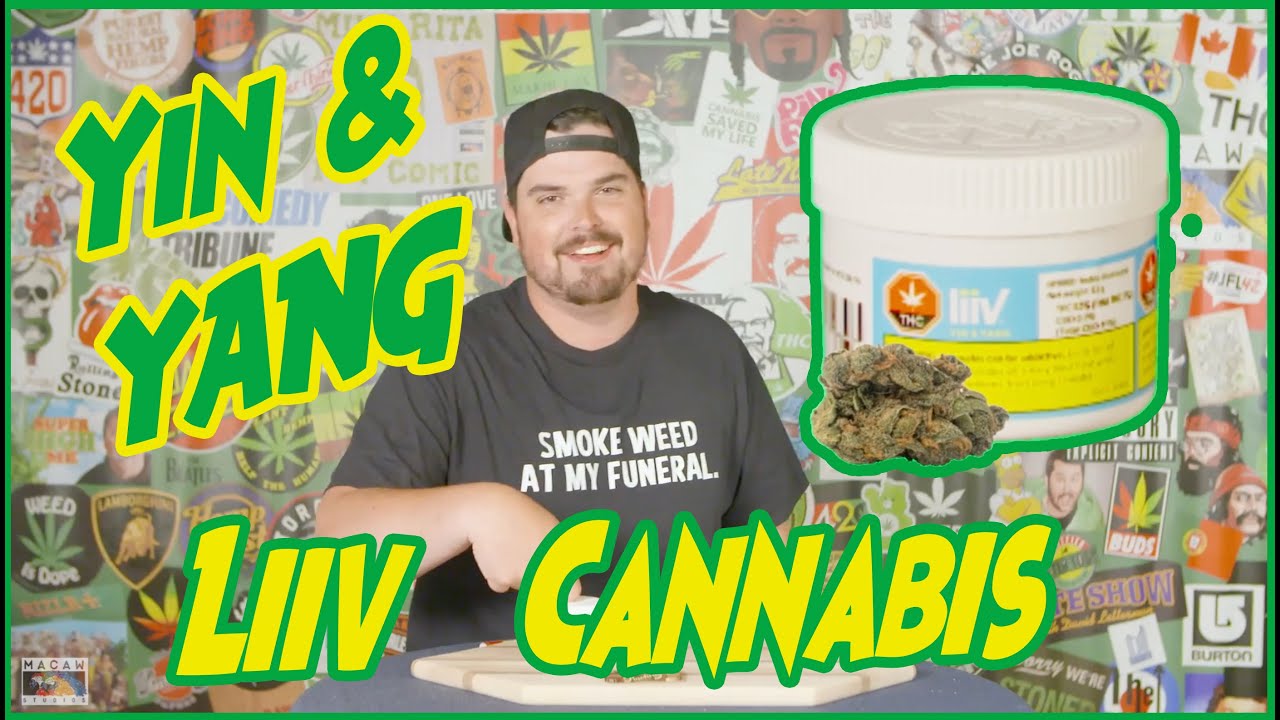 YIN & YANG by Liiv Cannabis - LEGAL WEED REVIEWS with Mike Rita