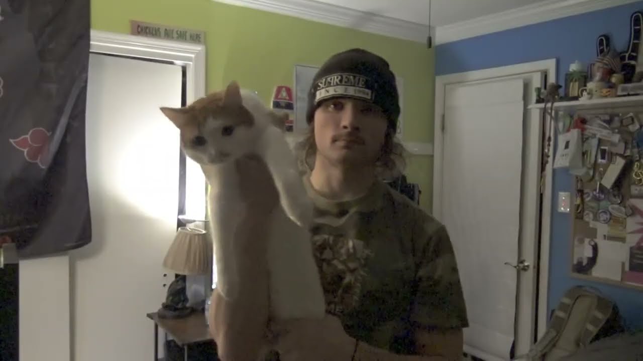 Sony FDR-AX53 / Rode Micro II Test 