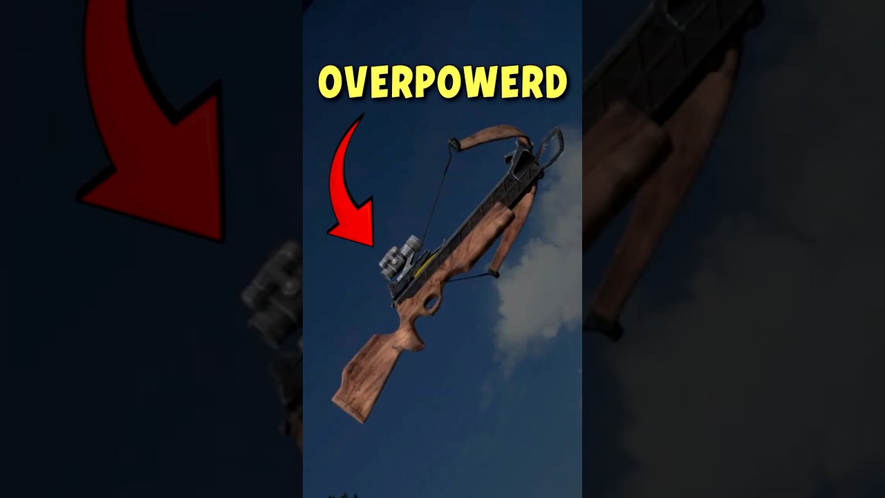 Why The Crossbow is the BEST Weapon In DayZ✅