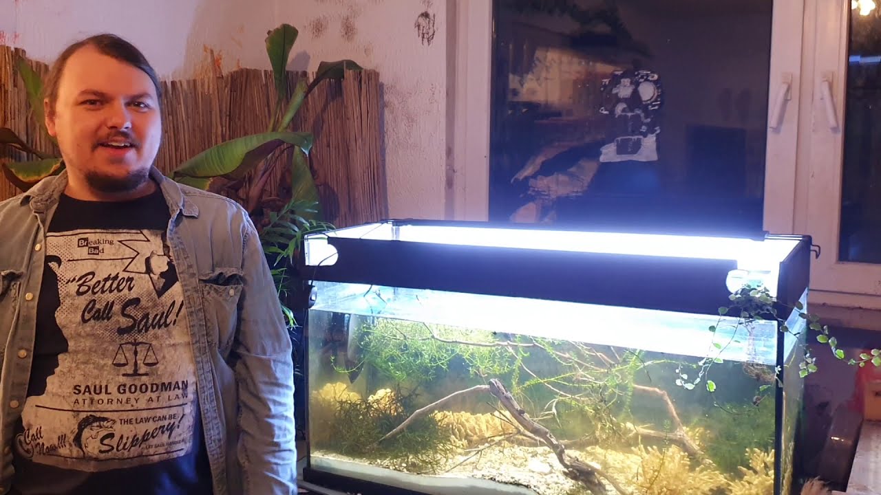 N&uuml;tzliches Lebendfutter im Aquarium - Bachflohkrebse und Wasserfl&ouml;he sowie Asseln und Glanzw&uuml;rmer