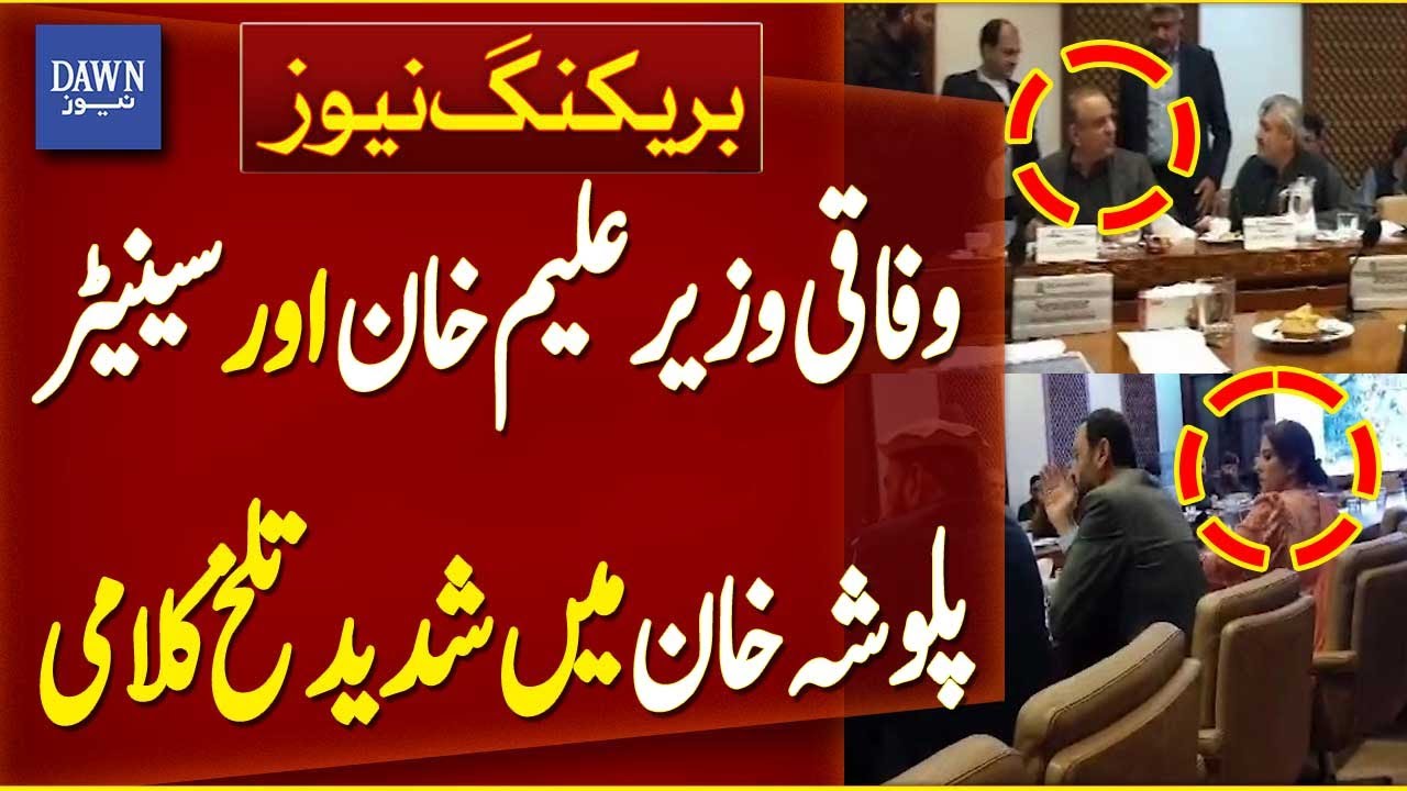 Heated Exchange Between Federal Minister Aleem Khan and Senator Palwasha | Breaking News| Dawn News