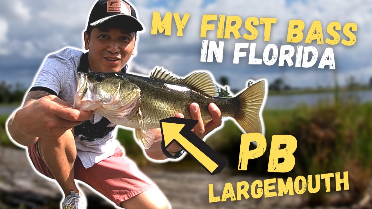 BASS FISHING The Pond Behind BASS PRO SHOPS in Orlando Florida!