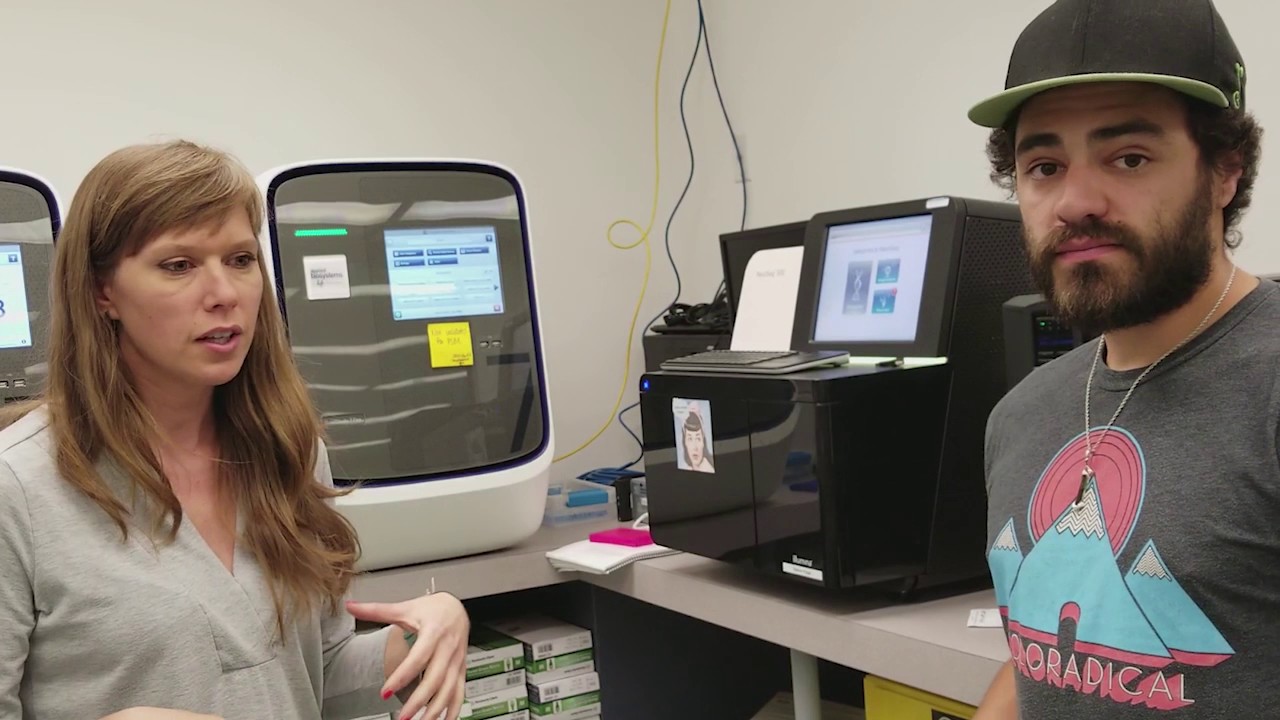 Phylos Biosciece Lab Tour and Cannabis Sex Testing Kits