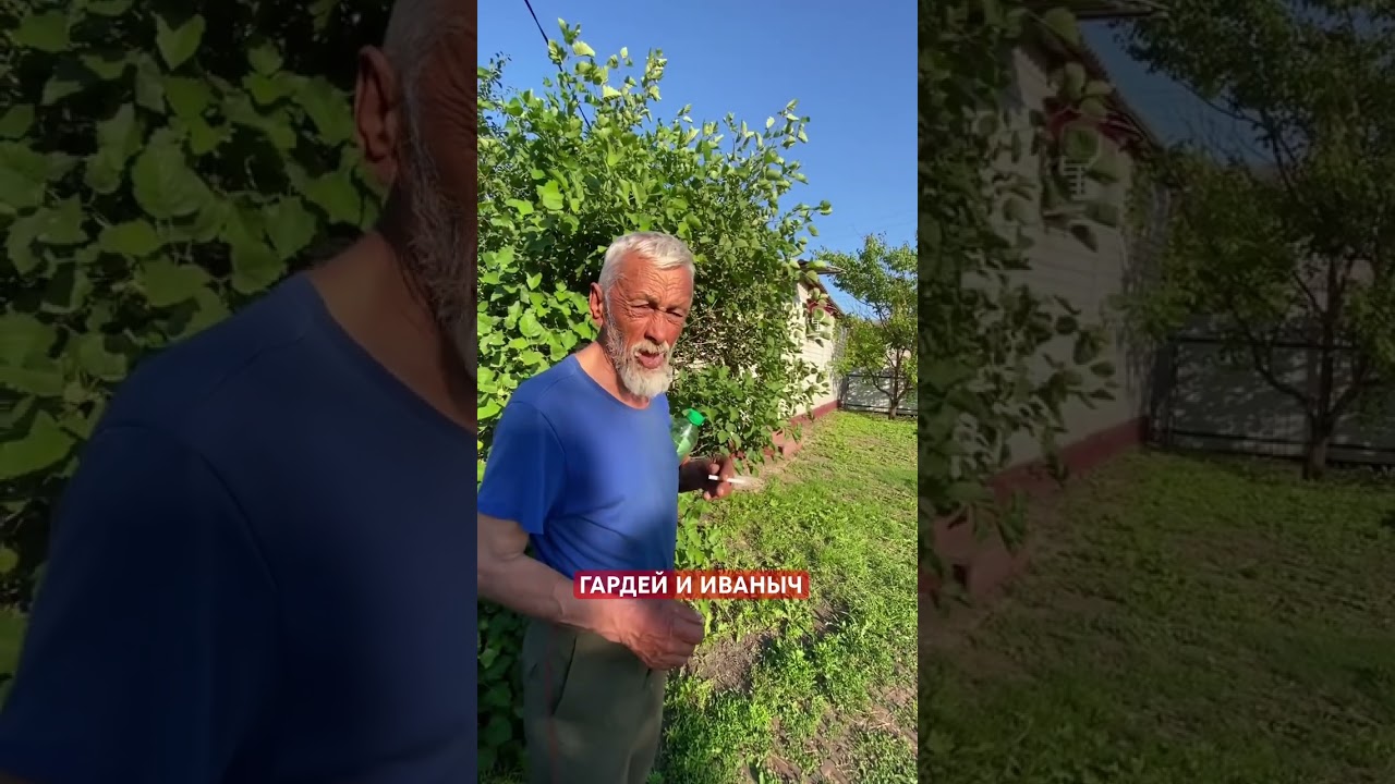 Хоть 100 ₽ублей.)) #россия #а4 #волгоград #рек #топ #shortsvideo #рекомендации #шортс #ютуб #shorts