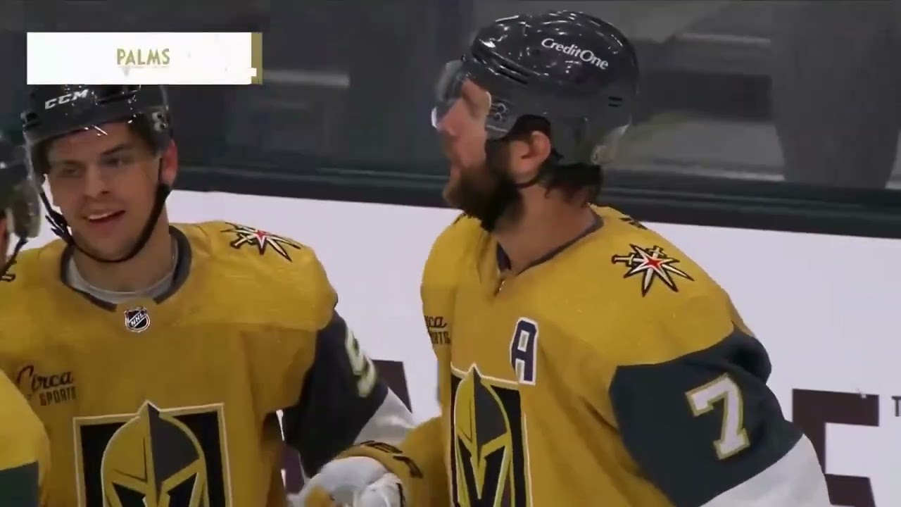 Alex Pietrangelo 2023 24 And 2024 25 Goals