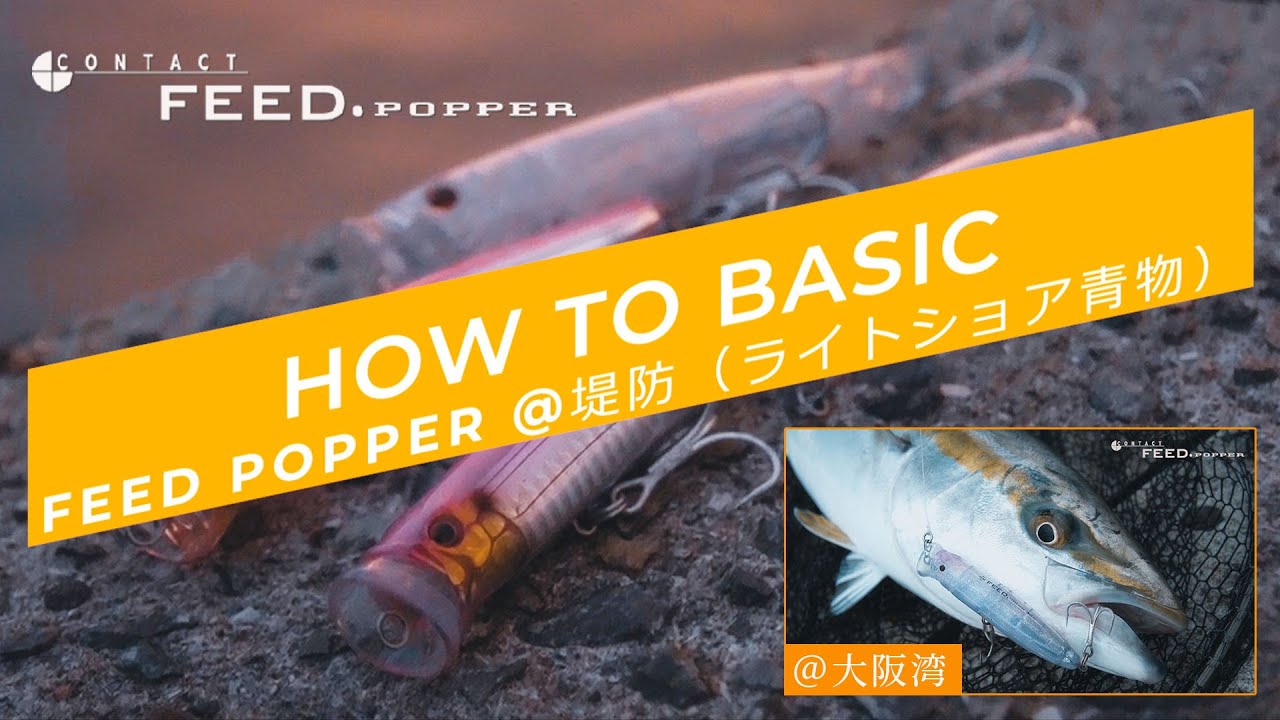 【HOW TOフィードポッパーの超基本】@堤防、ライトショア青物（大阪湾沖堤防）