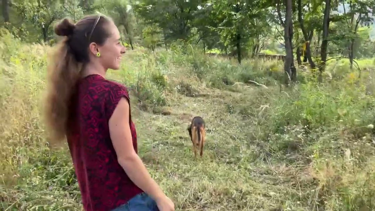 Új kezdet Gyűrűfűn
