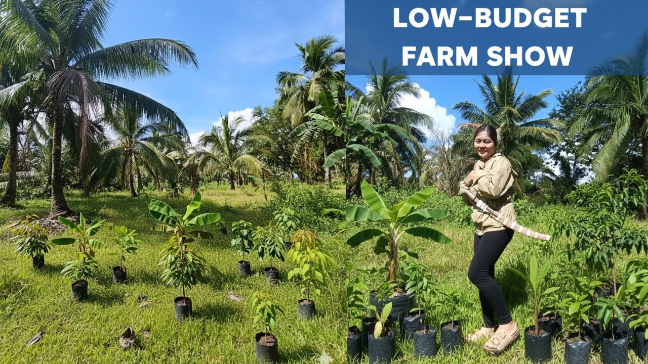 PAANO MAG DEVELOP NG FARM KAHIT LOW BUDGET 