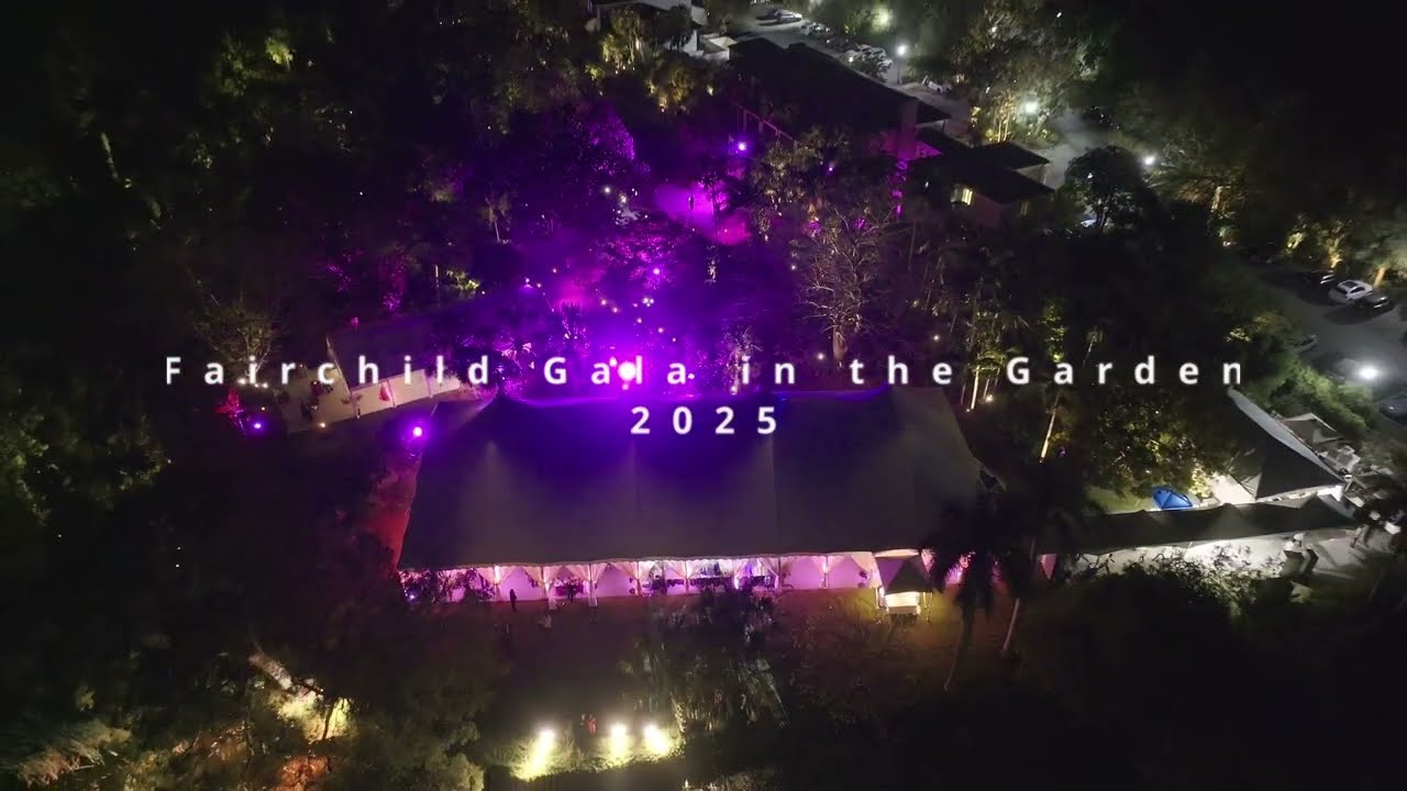 Pixel Swarm Drones - Fairchild Gala in the Garden