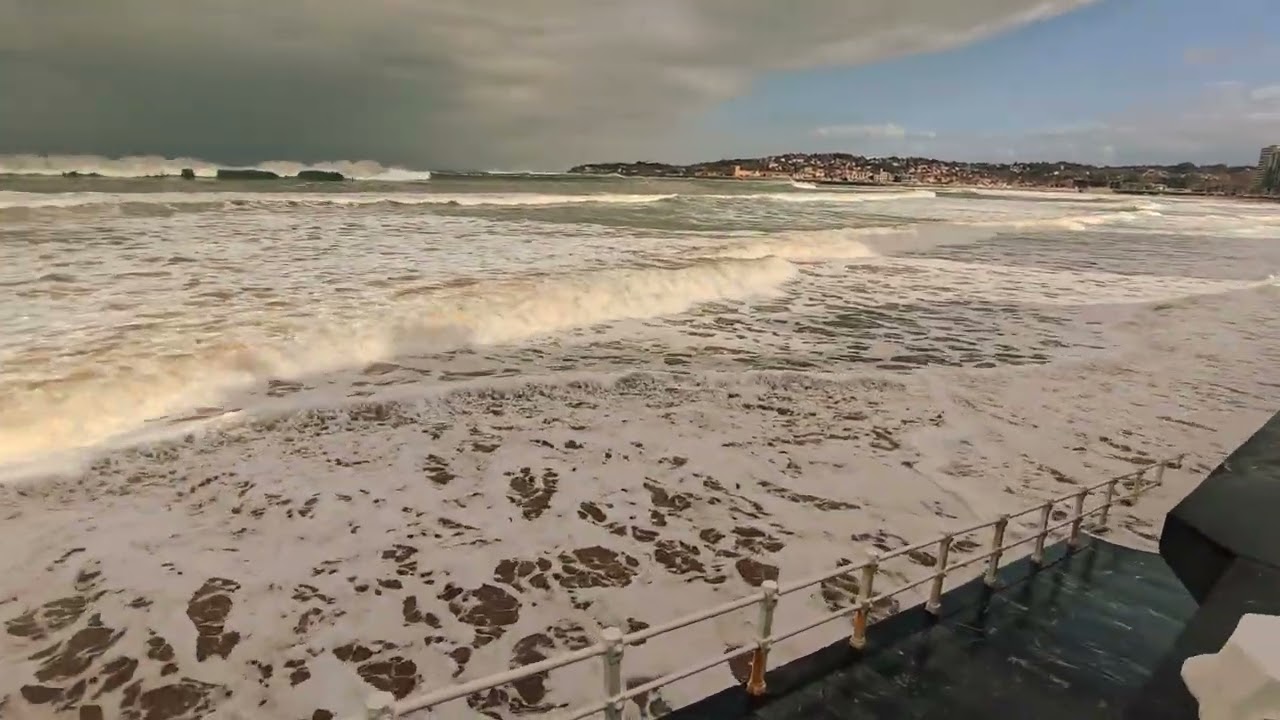 Sonidos del Mar 